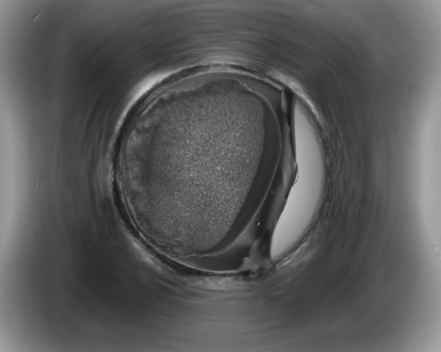 X0000086231024200704121911