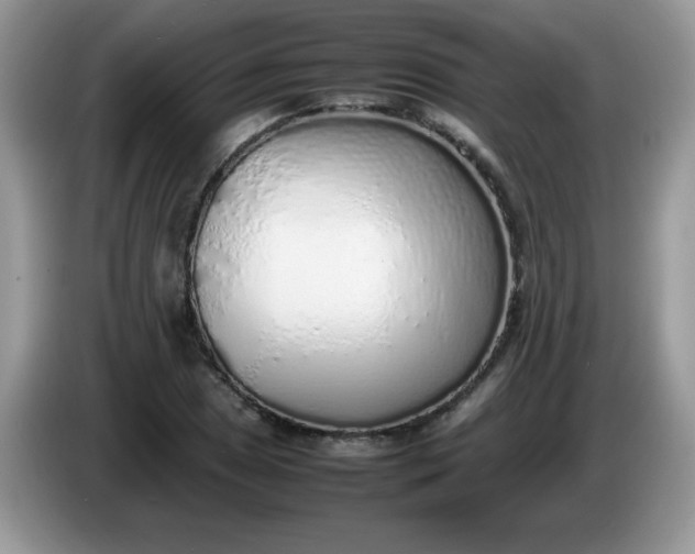 X0000086231025200704121911