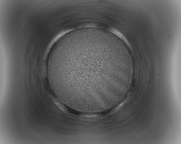 X0000086231027200704121911