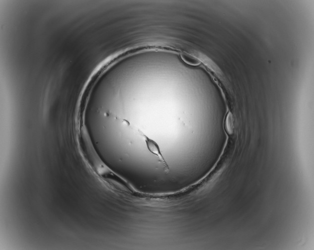 X0000086231028200704121911