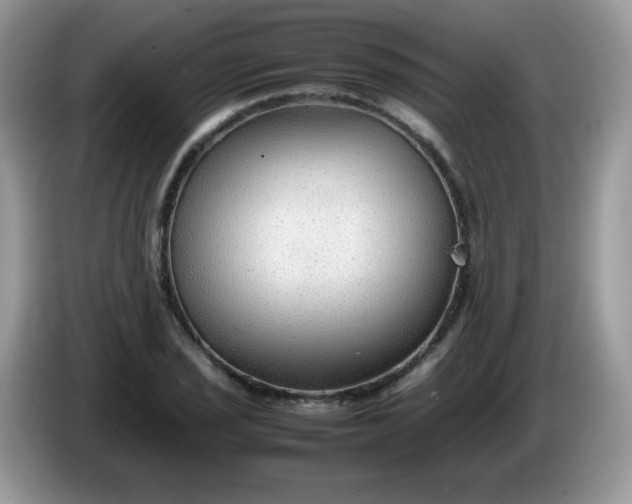 X0000086231029200704121911