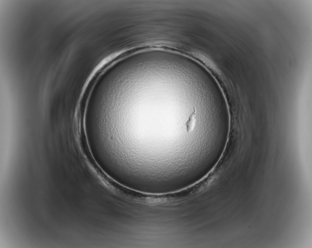 X0000086231032200704121911