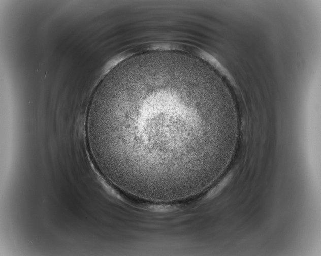 X0000086231033200704121911