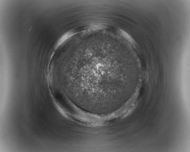 X0000086231034200704121911