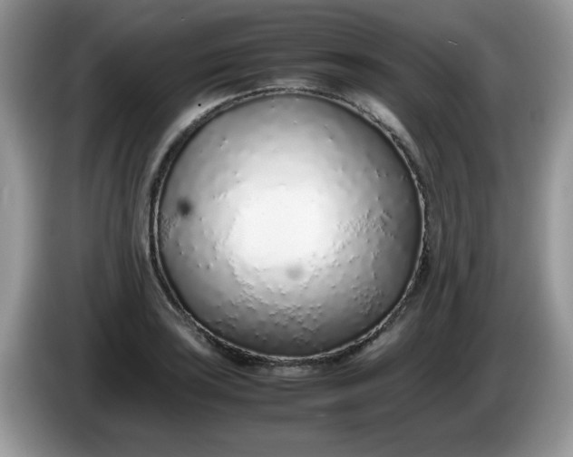 X0000086231035200704121911