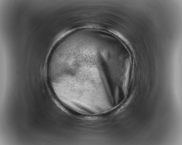 X0000086231037200704121911