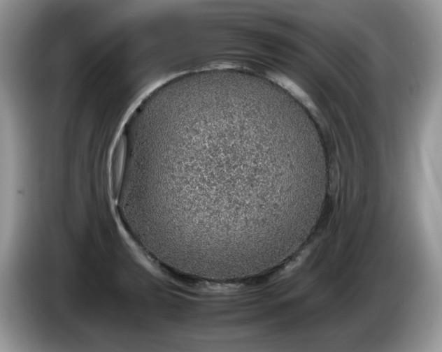 X0000086231039200704121911