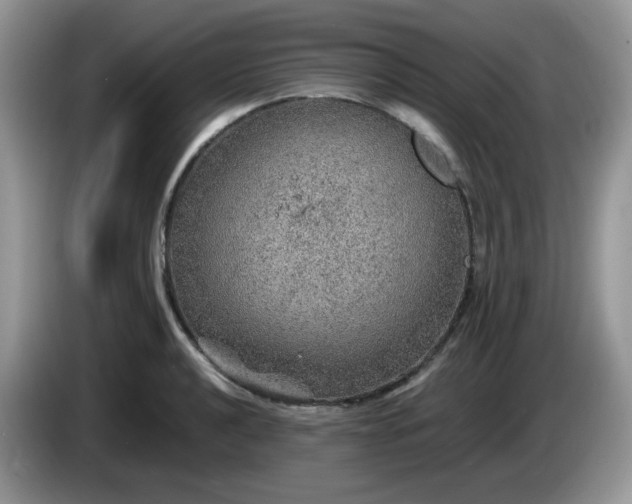 X0000086231040200704121911