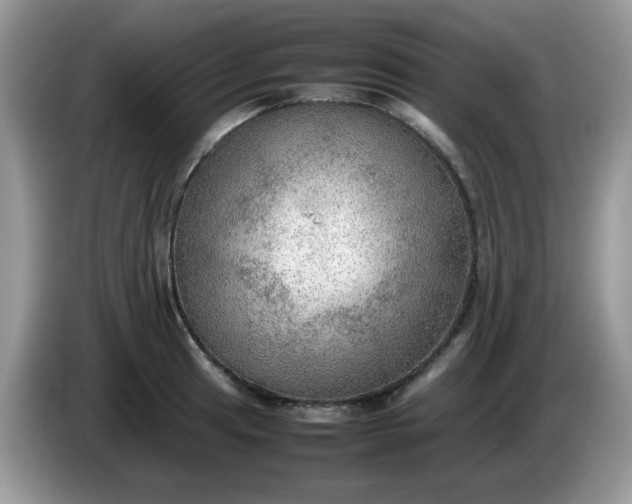 X0000086231041200704121911