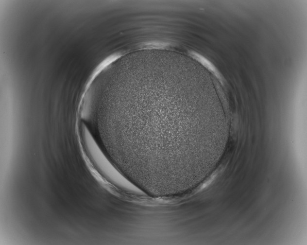 X0000086231042200704121911