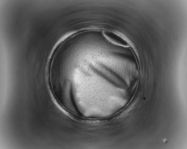 X0000086231045200704121911