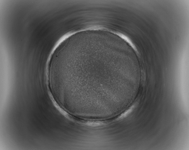 X0000086231046200704121911