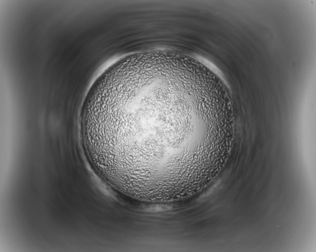 X0000086231047200704121911