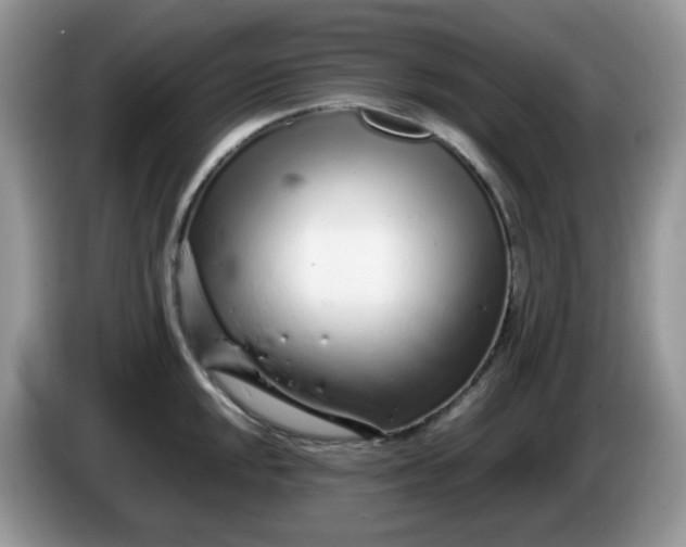 X0000086231048200704121911