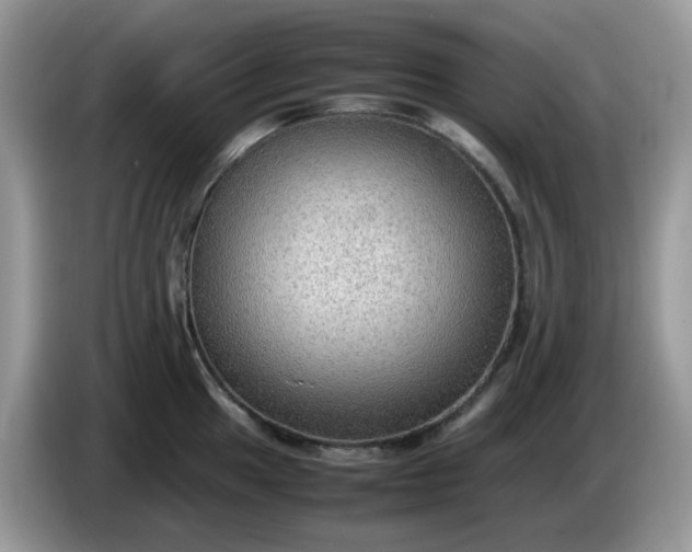 X0000086231049200704121911