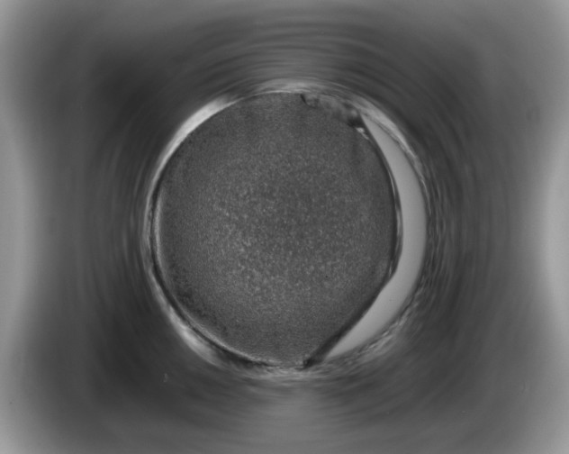 X0000086231050200704121911