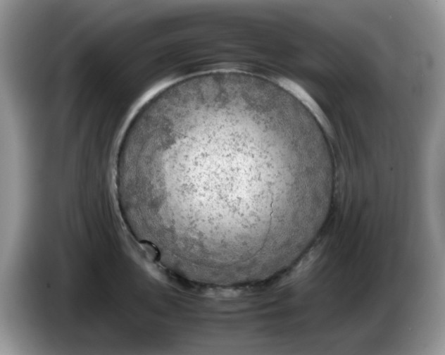 X0000086231051200704121911