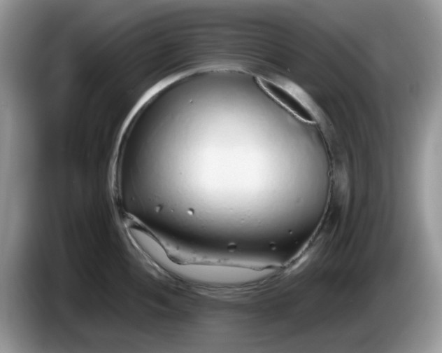 X0000086231052200704121911