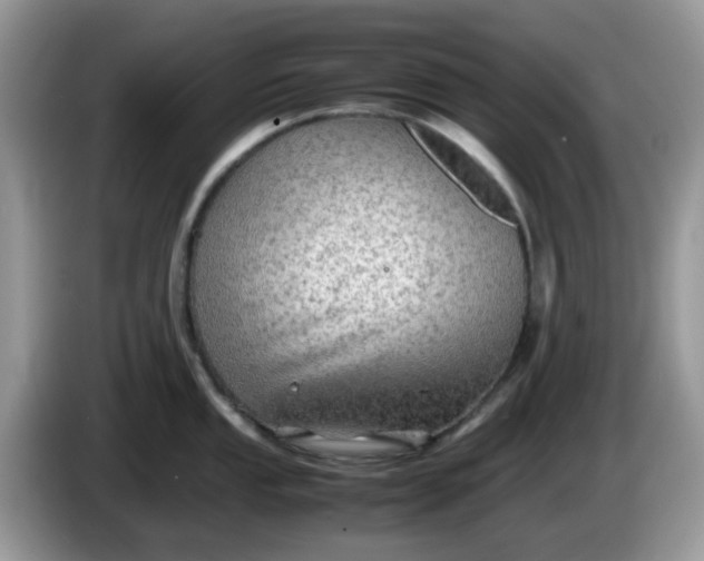 X0000086231053200704121911