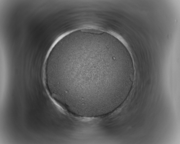 X0000086231056200704121912