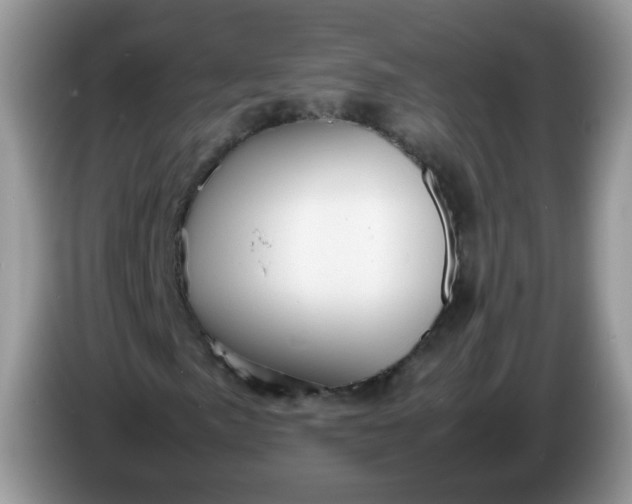 X0000086231057200704121911