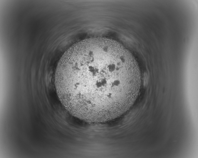 X0000086231059200704121911