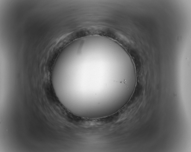 X0000086231061200704121911