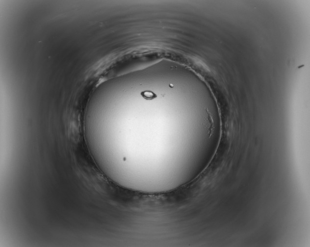 X0000086231062200704121911