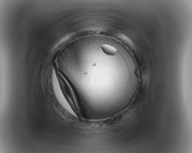 X0000086231064200704121911