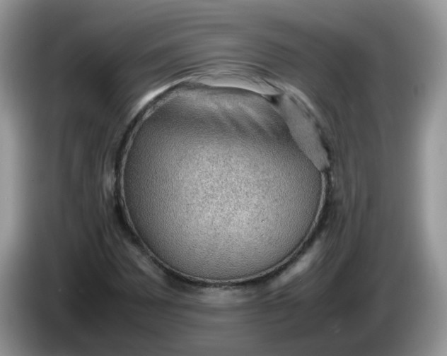 X0000086231065200704121911