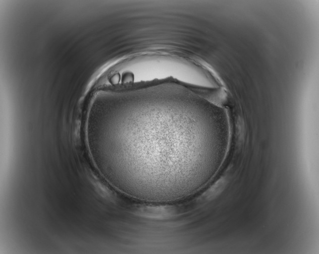 X0000086231066200704121911