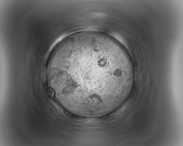 X0000086231067200704121911