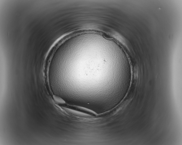 X0000086231068200704121911