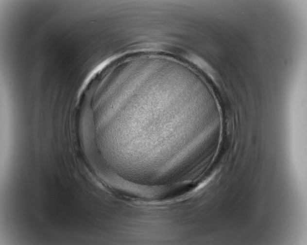 X0000086231069200704121911