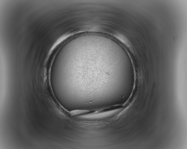 X0000086231070200704121911