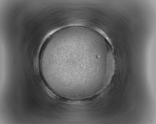 X0000086231072200704121911