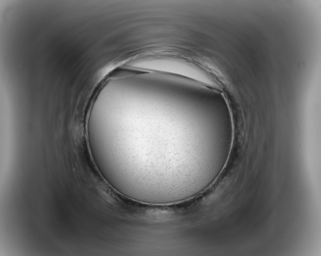 X0000086231073200704121911