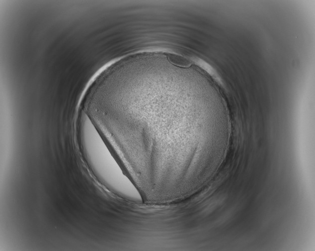 X0000086231076200704121911