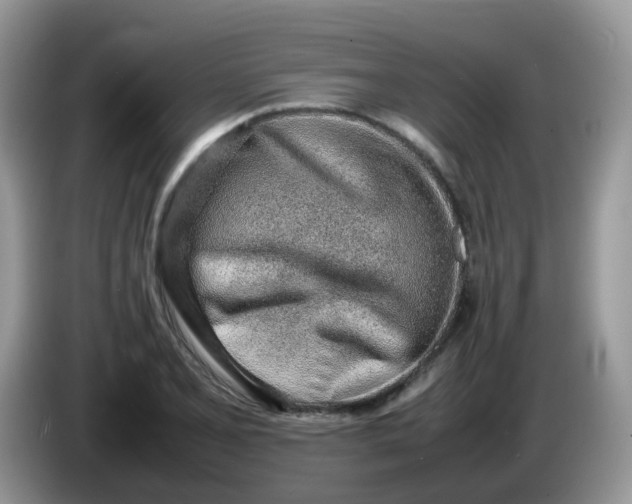 X0000086231077200704121911