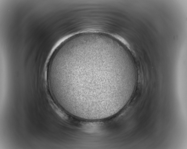 X0000086231078200704121911