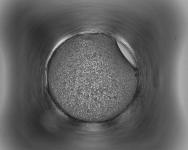 X0000086231079200704121911