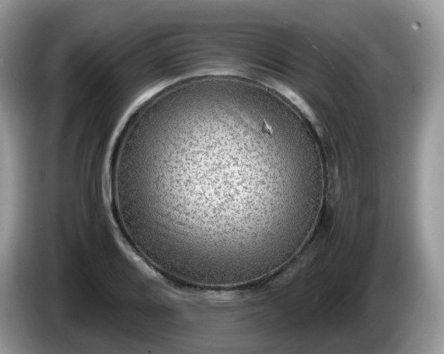 X0000086231080200704121911