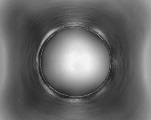 X0000086231082200704121911