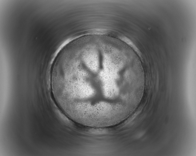 X0000086231083200704121911