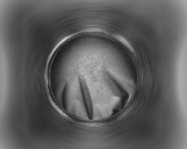 X0000086231084200704121911