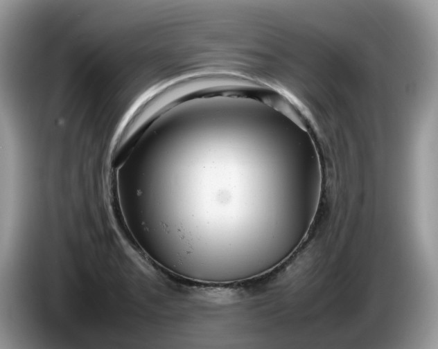 X0000086231085200704121911