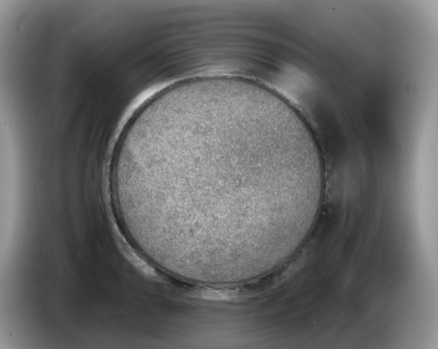 X0000086231086200704121911