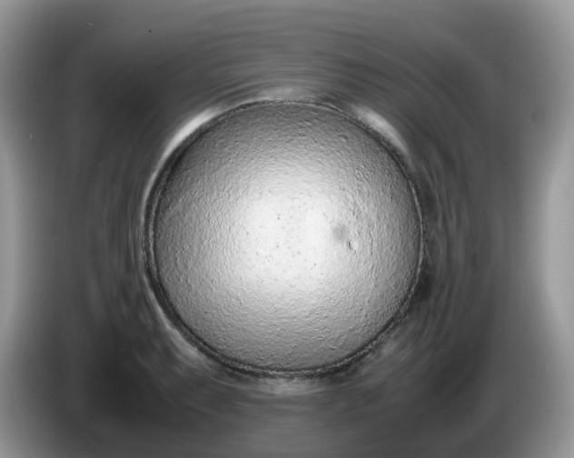 X0000086231087200704121911