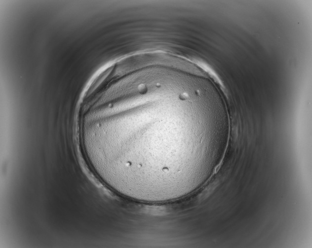 X0000086231088200704121911