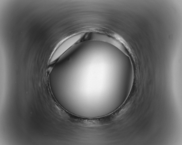 X0000086231089200704121911